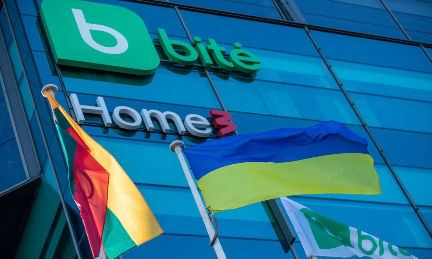 „Bitė Lietuva“. Organizacijos nuotr.