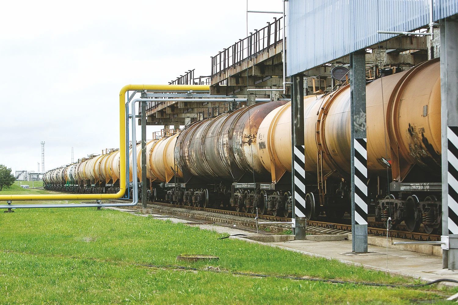 Vladimiro Ivanovo (VŽ) nuotr.