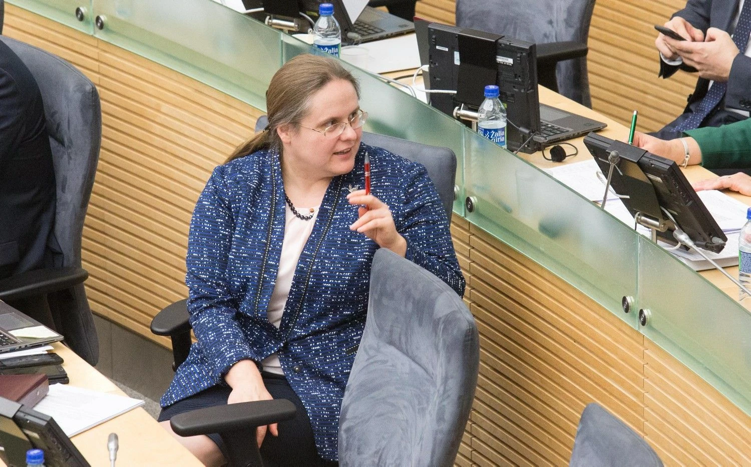Agnė Širinskienė, Valstiečių ir žaliųjų frakcijos narė. Juditos Grigelytės (VŽ) nuotr.