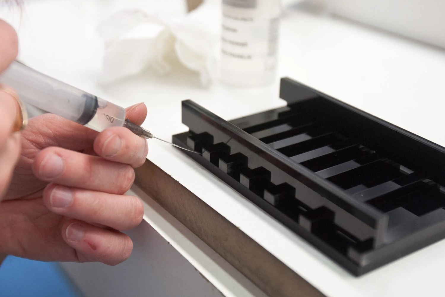 Vladimiro Ivanovo (VŽ) nuotr.