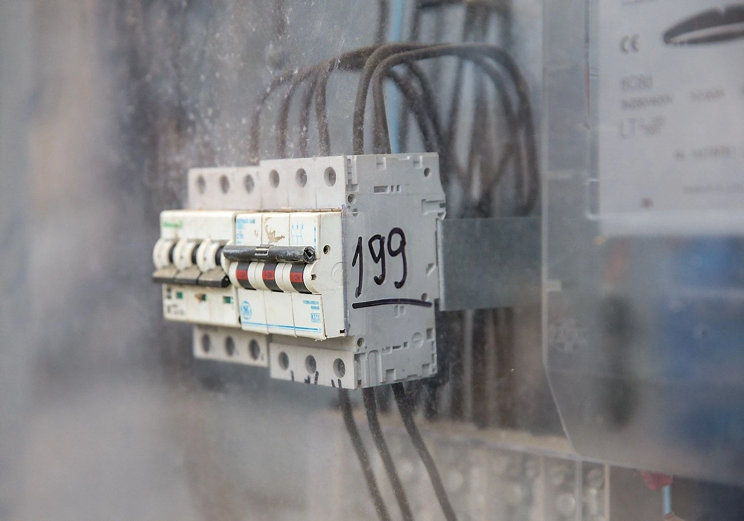 Juditos Grigelyt?s (VŽ) nuotr.