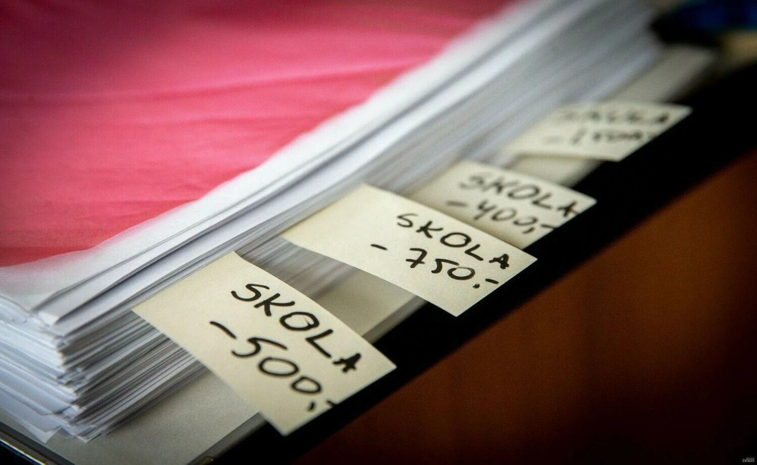 Juditos Grigelytės (VŽ) nuotr.