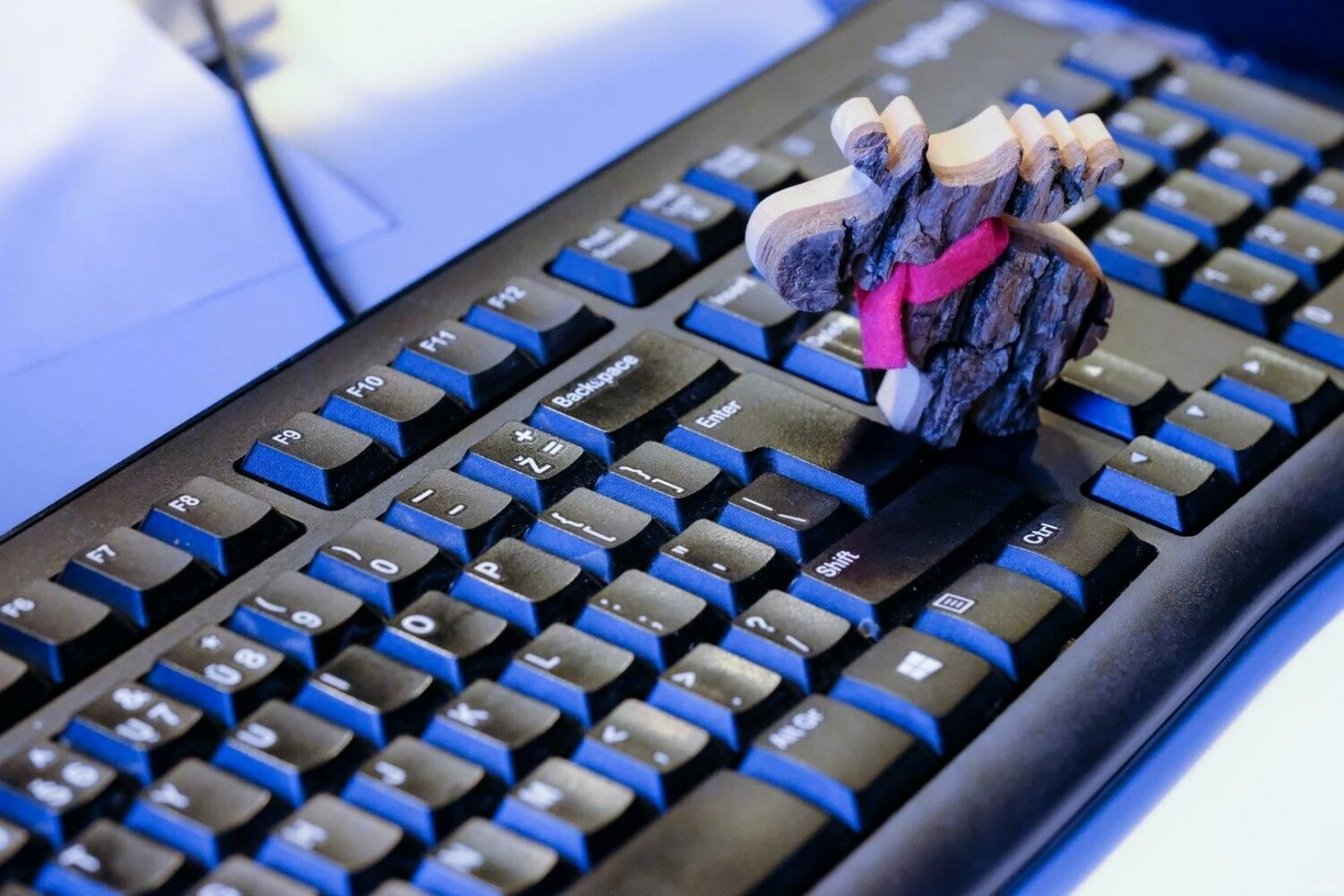 Vladimiro Ivanovo (VŽ) nuotr.