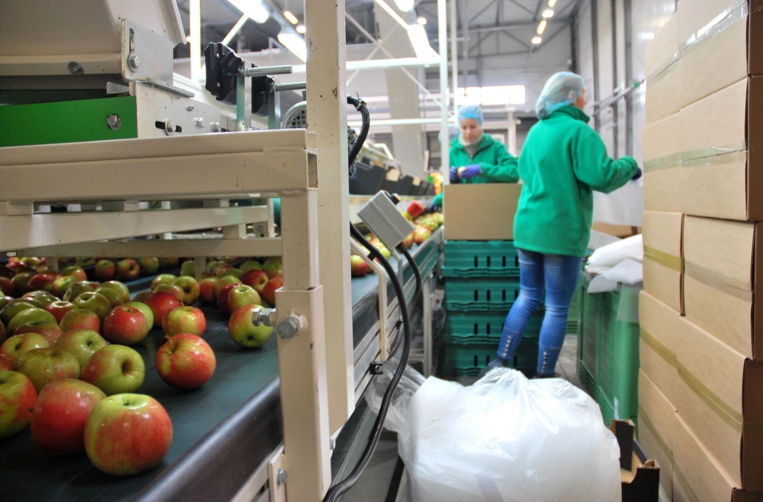 Kremliaus embargas nepadarė beveik jokios įtakos Lenkijos maisto produktų eksportui. Gintauto Degučio (VŽ) nuotr.