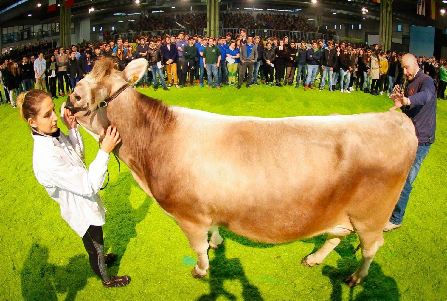 „La Presse“ / „Scanpix“ nuotr.