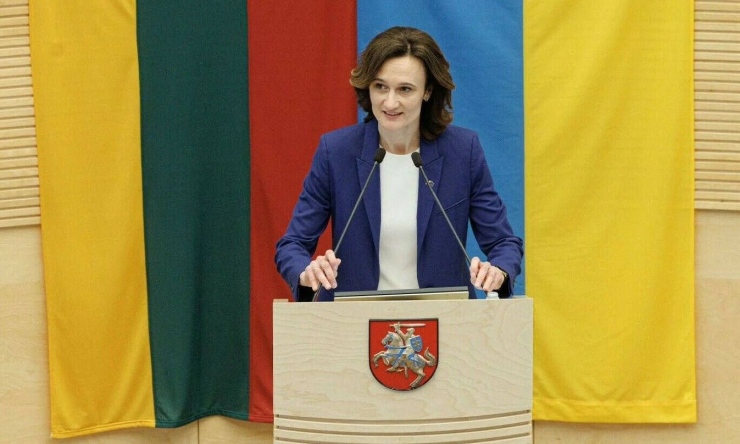 Vladimiro Ivanovo (VŽ) nuotr.