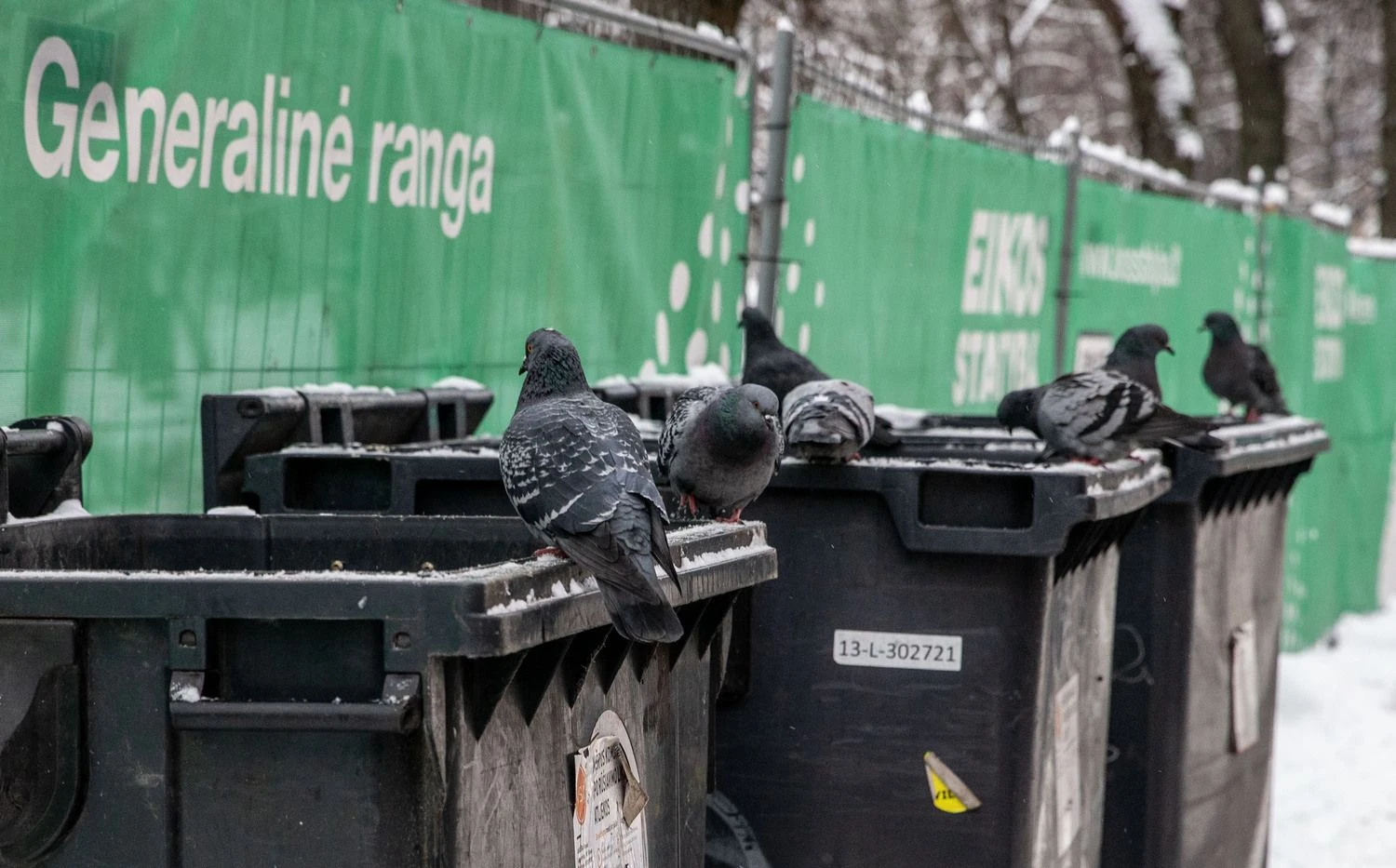 Rūšiuojant atsiranda šiokia tokia vidinė emocinė pasaulio gelbėjimo misijos vykdymo aura, kuri kartais ištrūksta į viešumą. Juditos Grigelytės (VŽ) nuotr.
