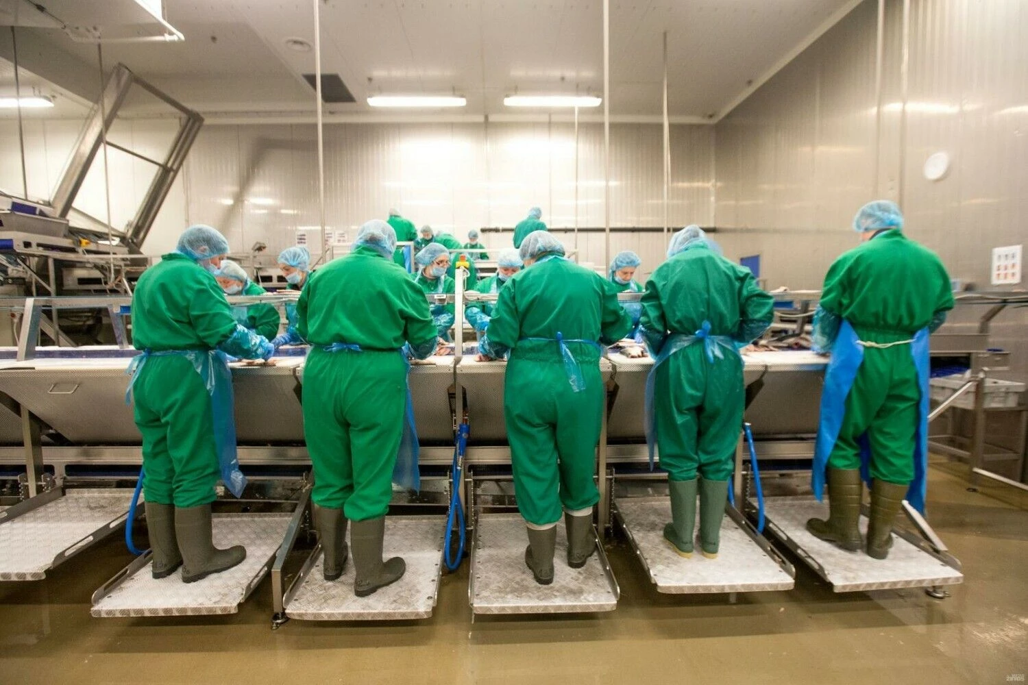 Juditos Grigelytės (VŽ) nuotr.