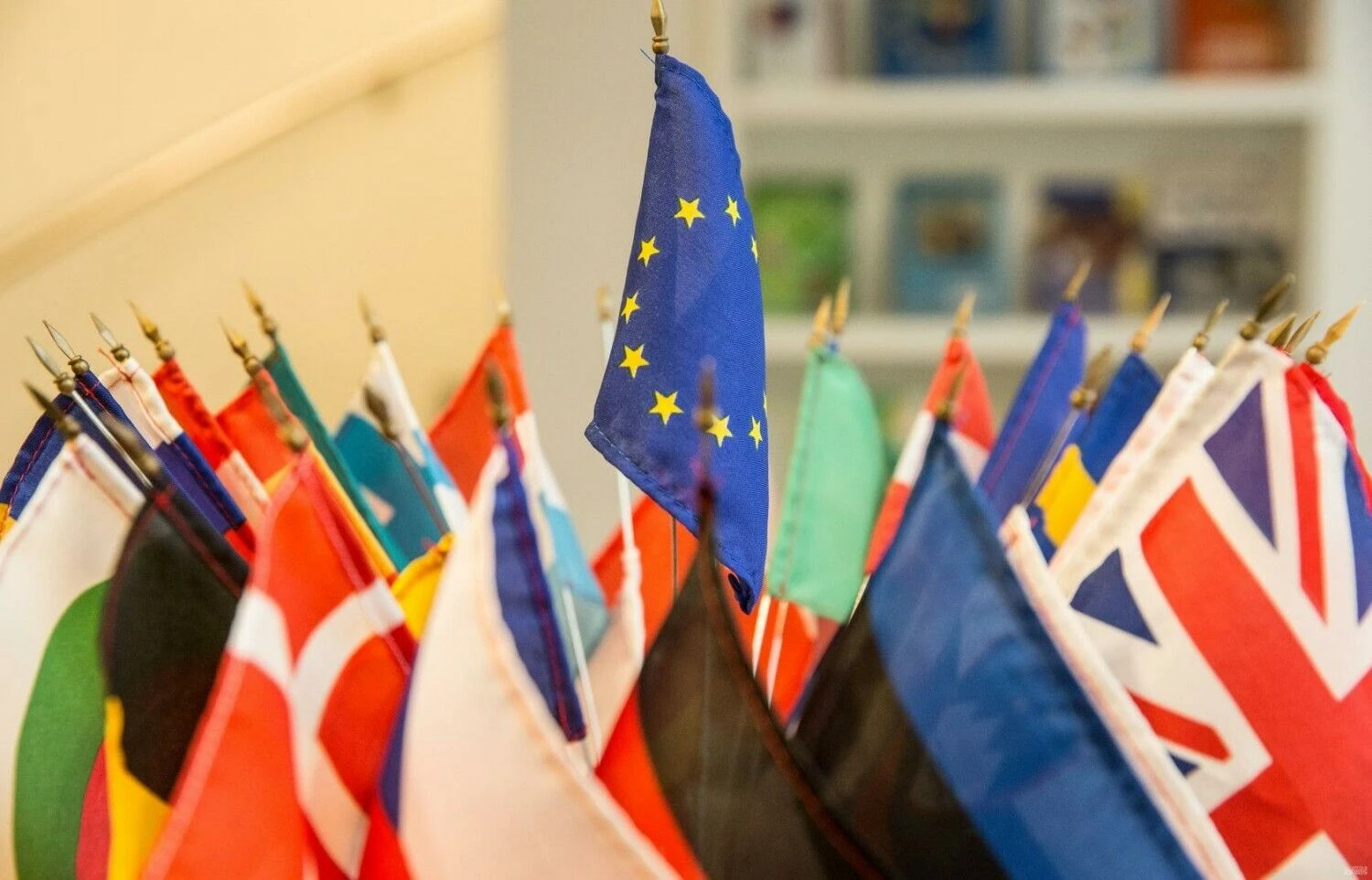 Juditos Grigelytės (VŽ) nuotr.