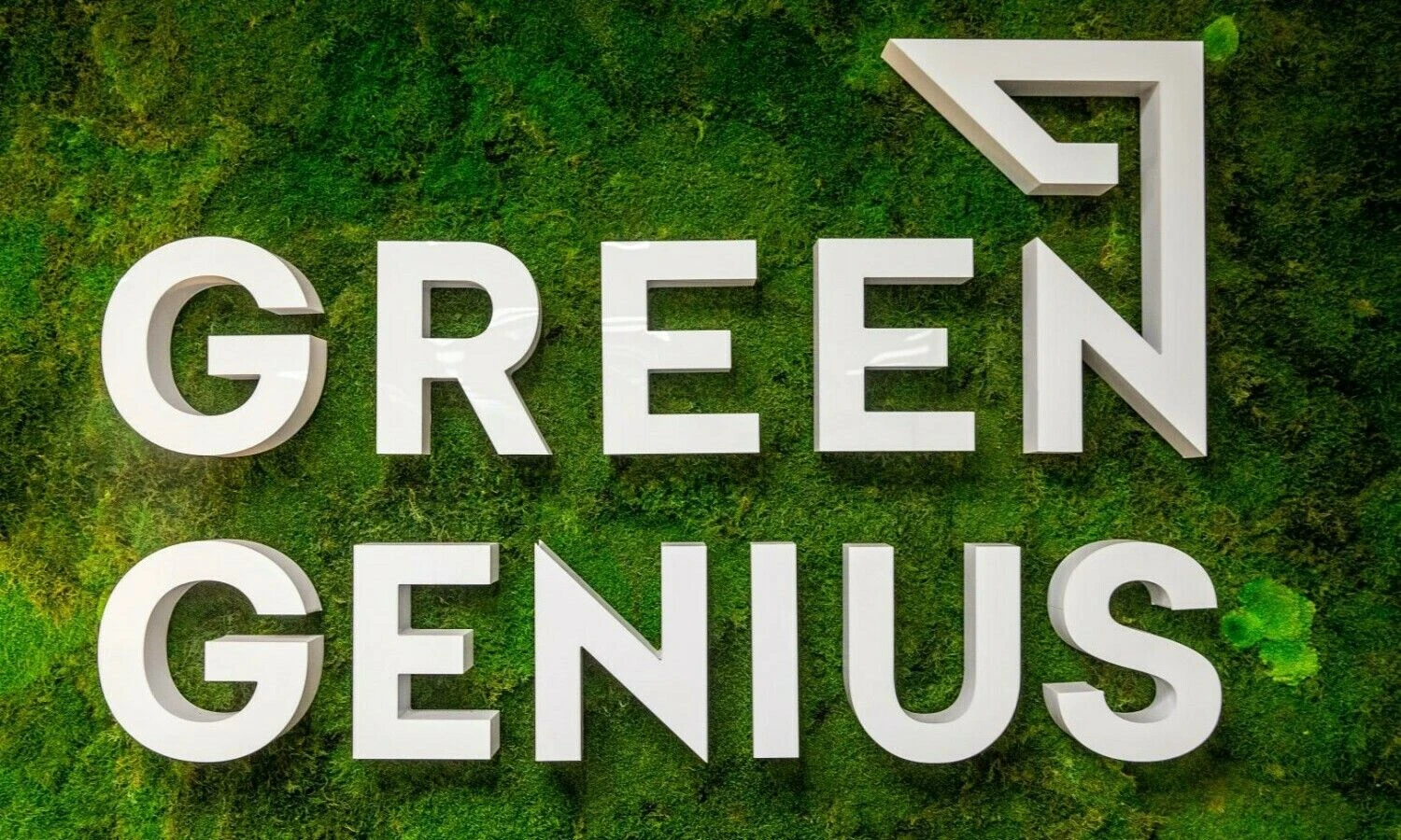 Vladimiro Ivanovo (VŽ) nuotr.