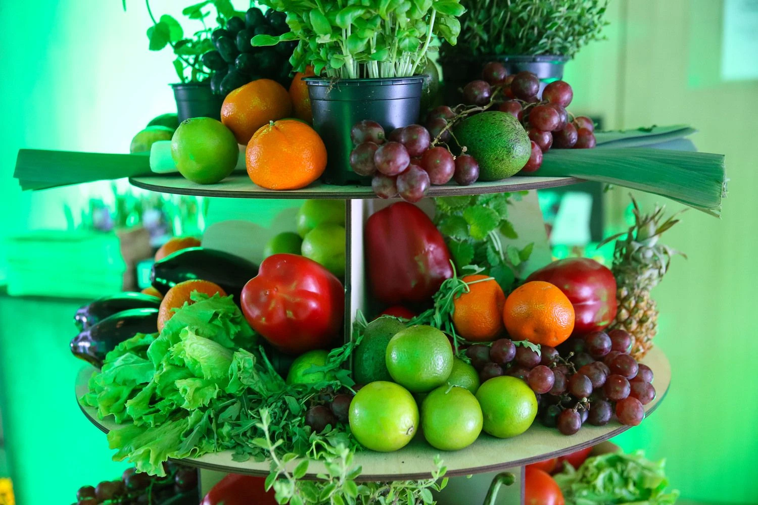 Vladimiro Ivanovo (VŽ) nuotr.