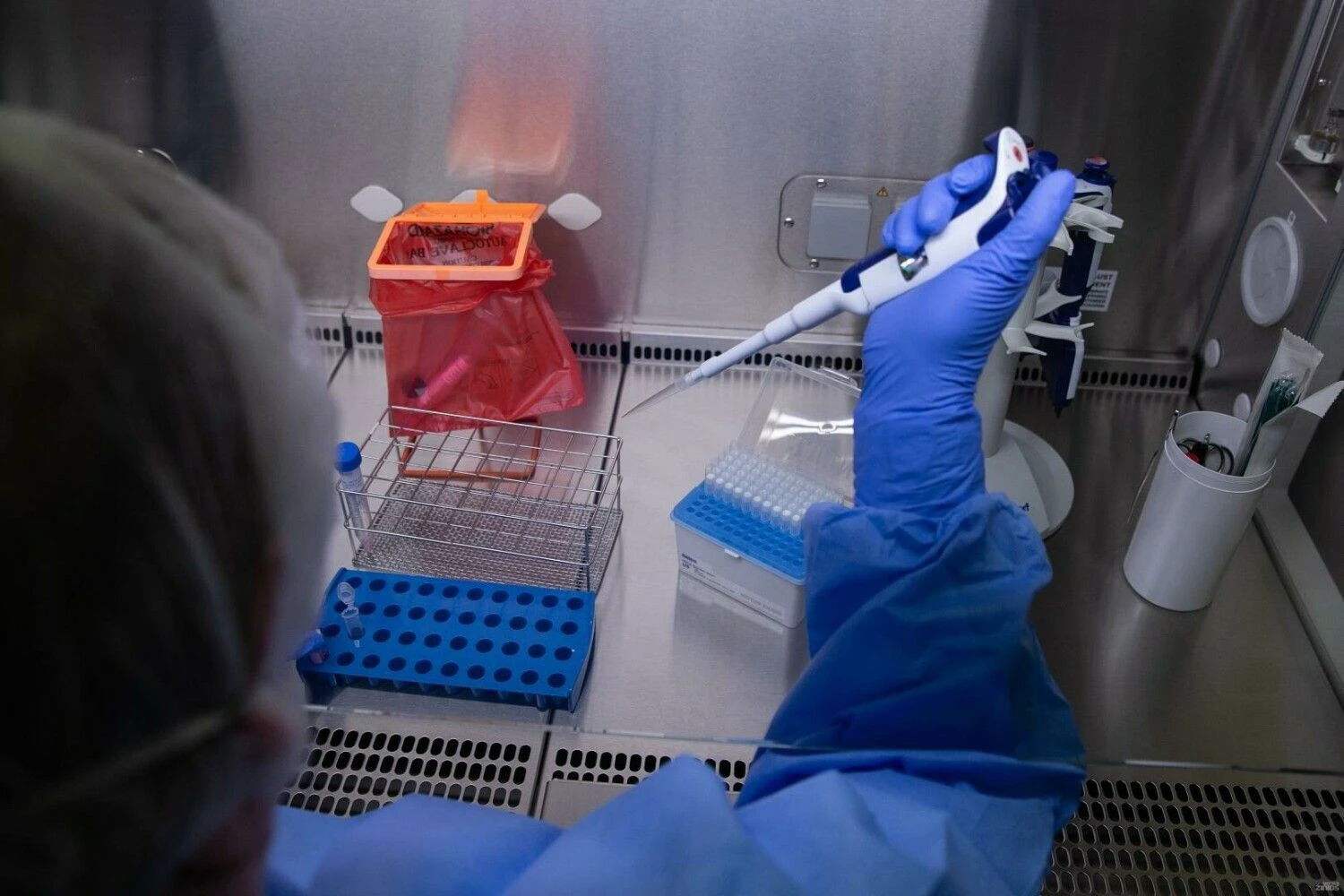 Vladimiro Ivanovo (VŽ) nuotr.