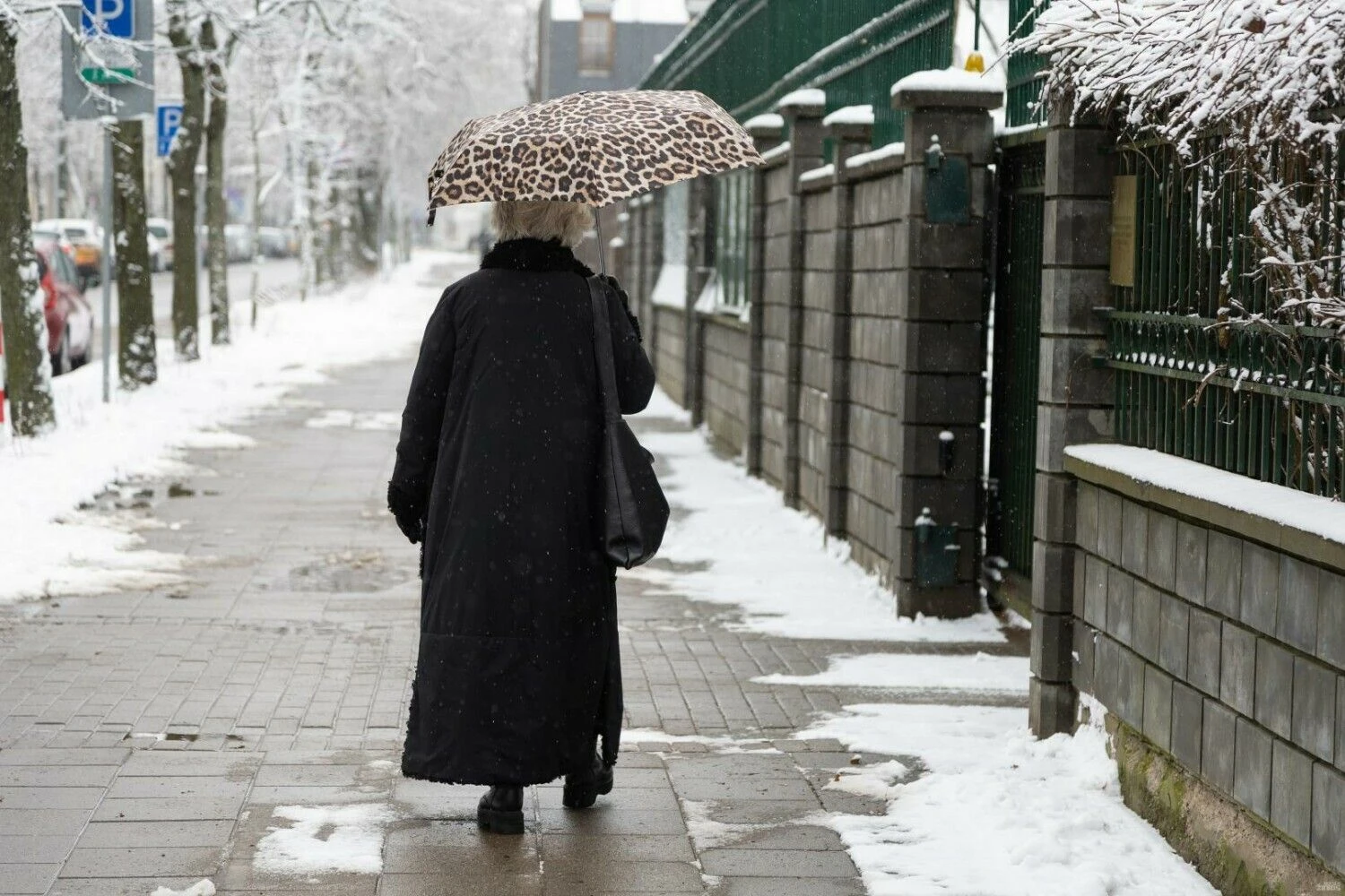 Vladimiro Ivanovo (VŽ) nuotr.