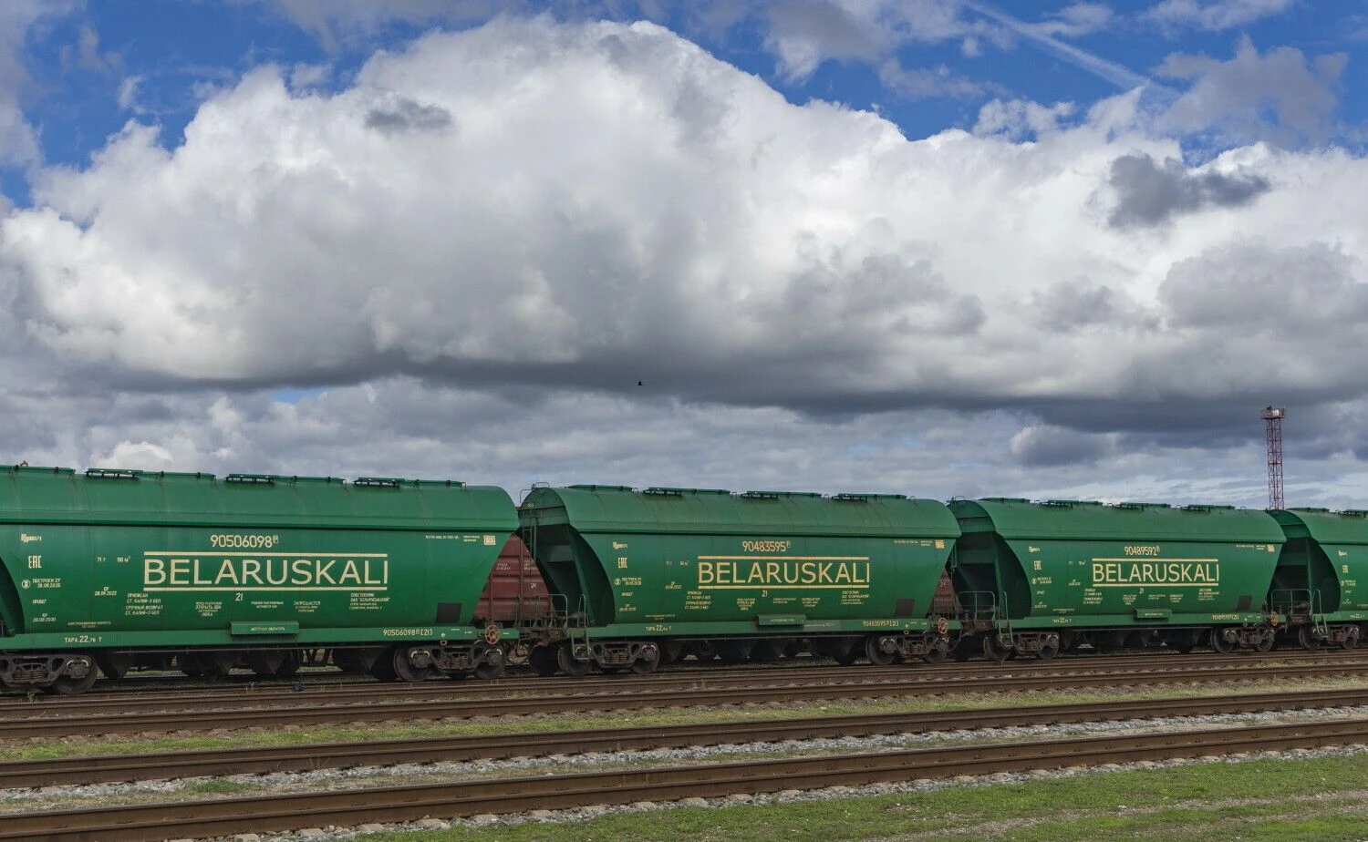 Algimanto Kalvaičio nuotr.