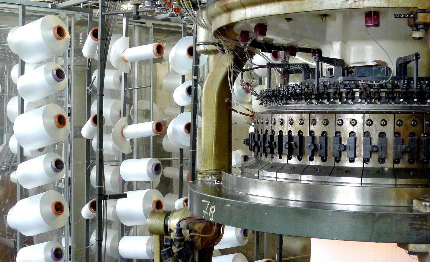 Algimanto Barzdžiaus nuotr.