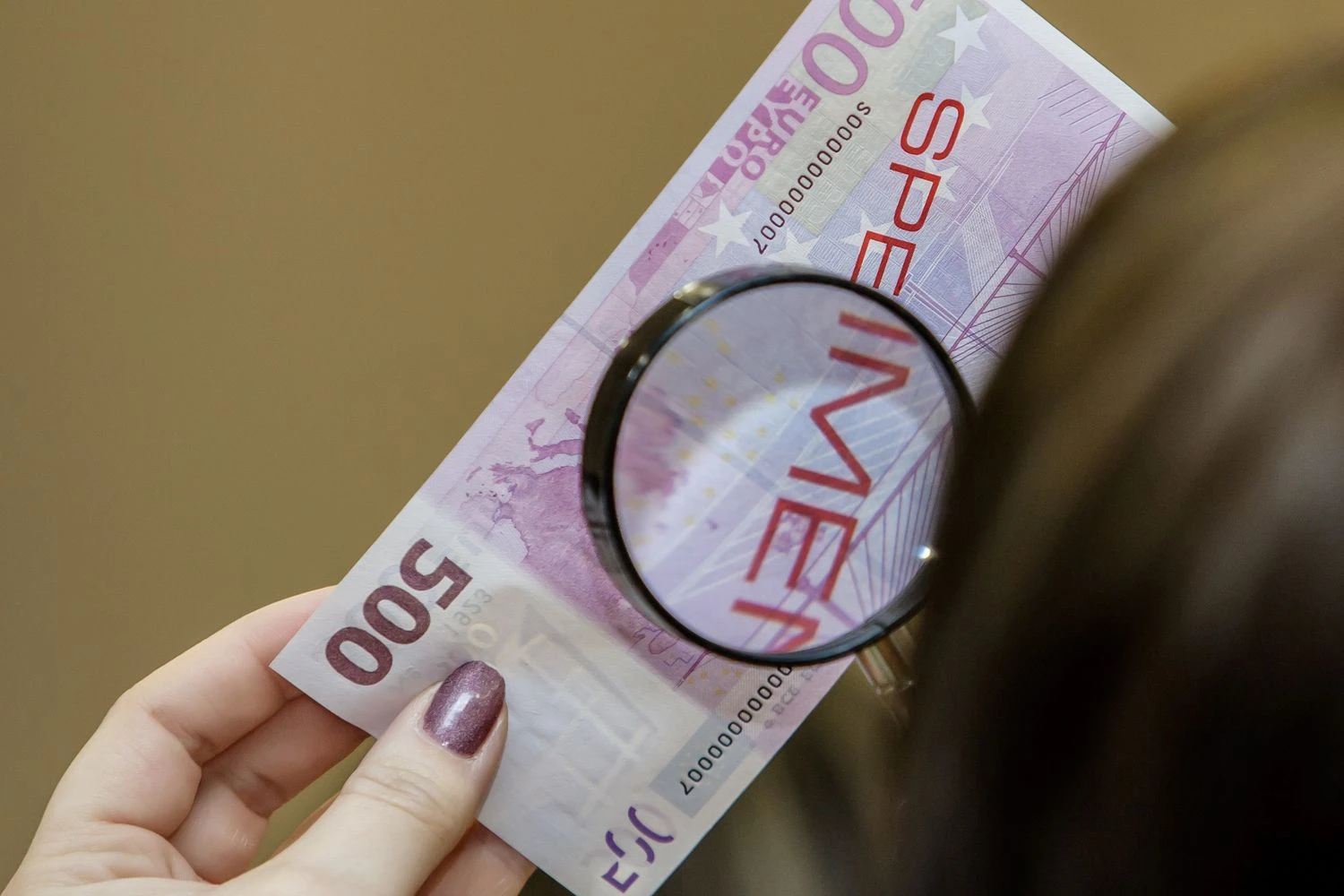 Vladimiro Ivanovo (VŽ) nuotr.