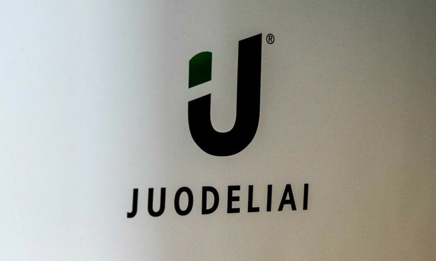 Juditos Grigelytės (VŽ) nuotr.