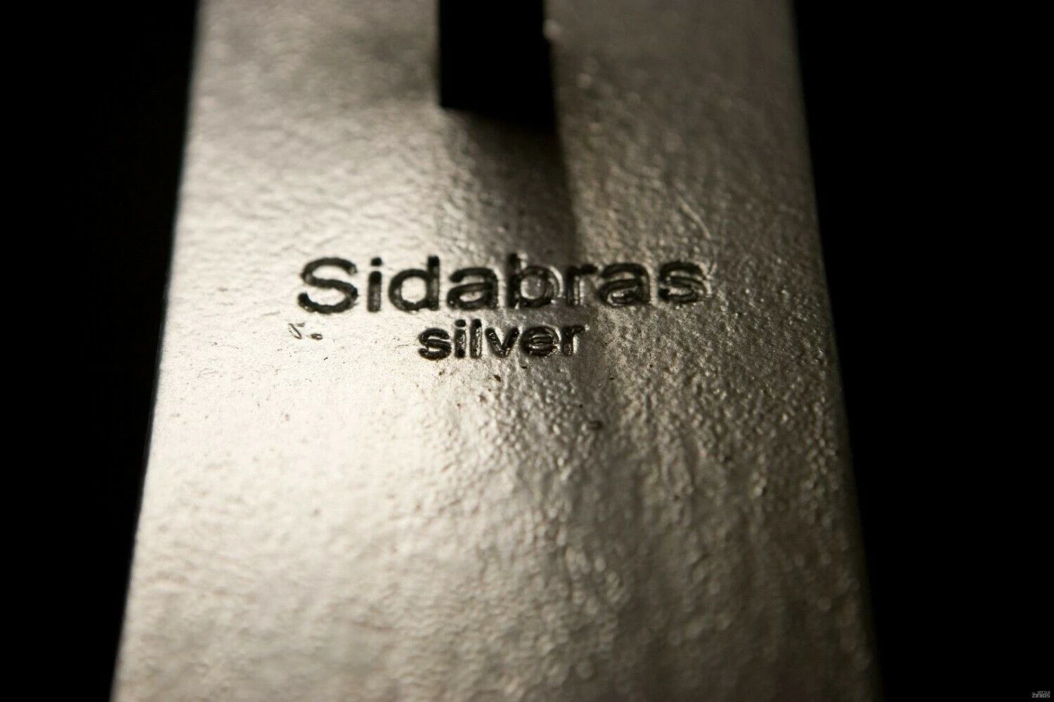 Juditos Grigelytės (VŽ) nuotr.