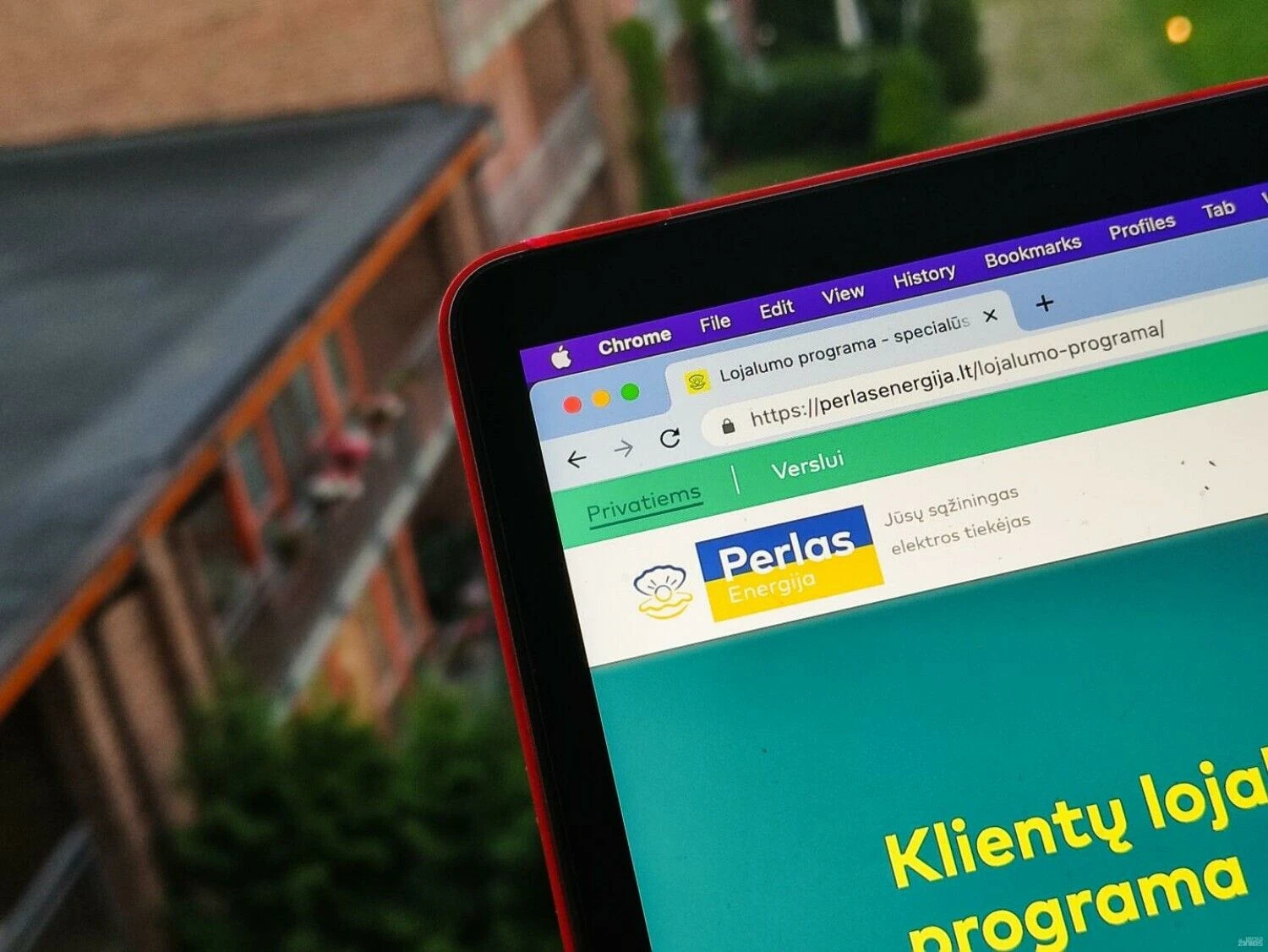 Vladimiro Ivanovo (VŽ) nuotr.