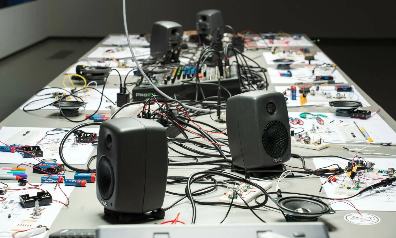 Tata Frenkel, „Kaip tapti antena“. Andrejaus Vasilenko nuotr.