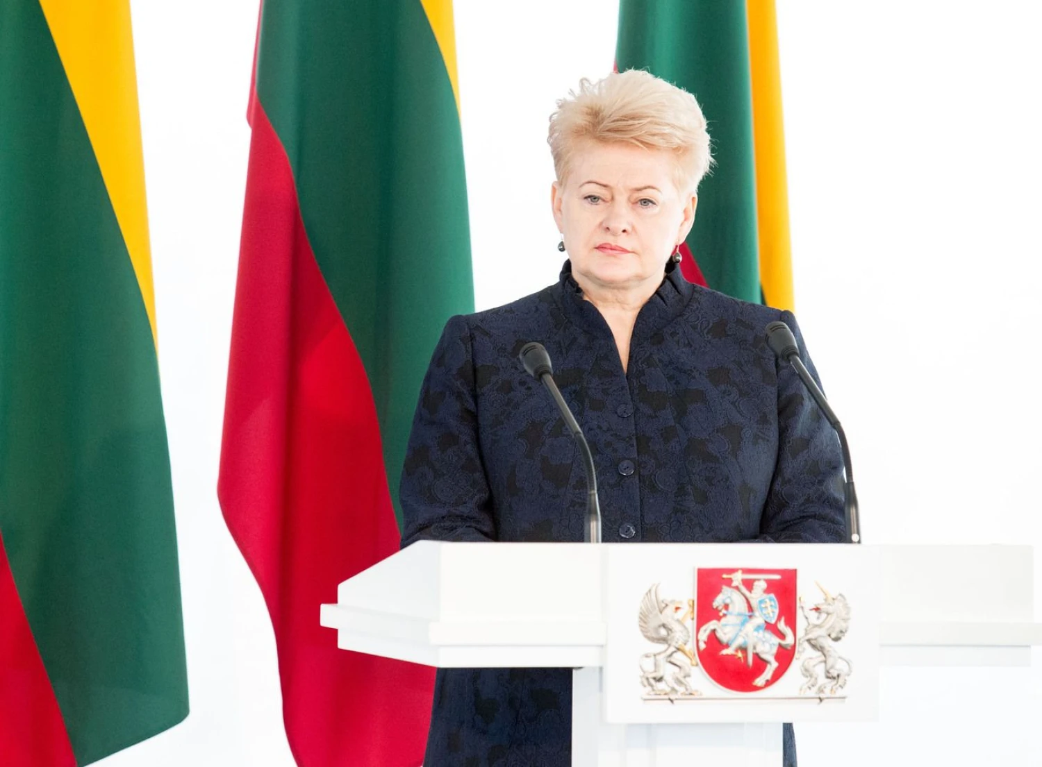 Prezidentė Dalia Grybauskaitė. Juditos Grigelytės (VŽ) nuotr.