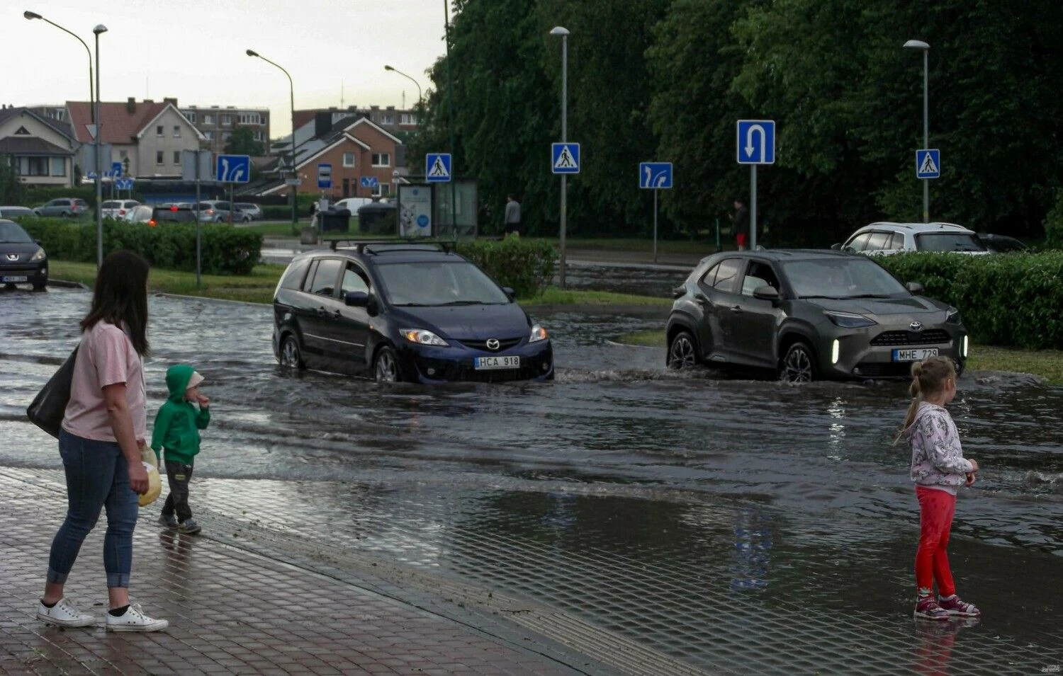 Algimanto Kalvaičio (VŽ) nuotr.