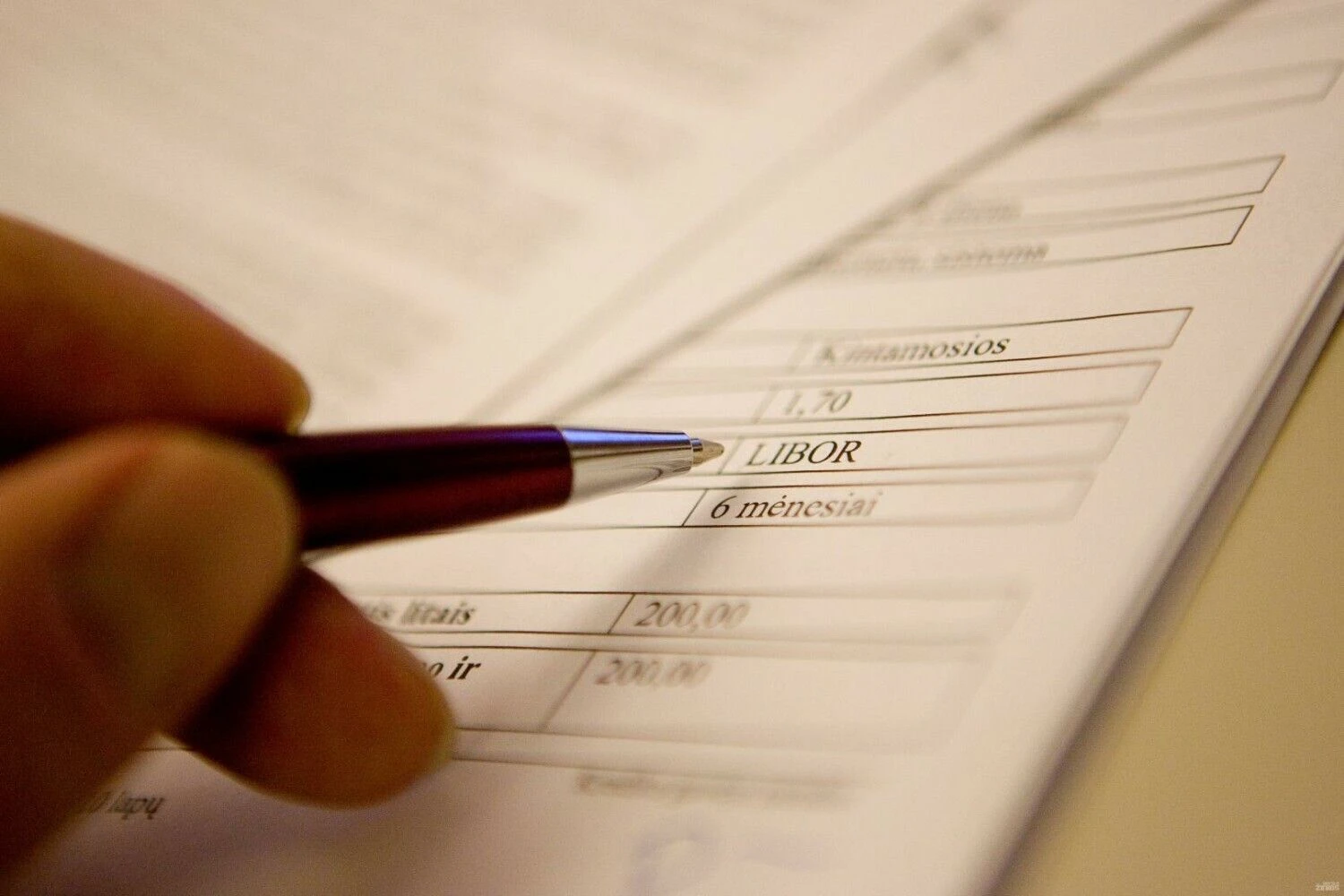 Juditos Grigelytės (VŽ) nuotr.