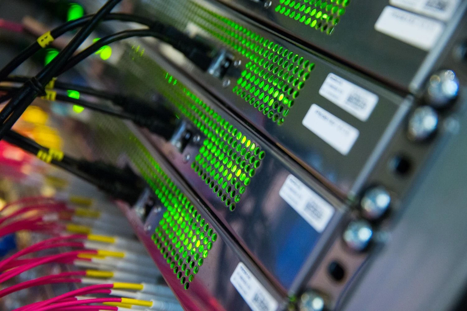 Vladimiro Ivanovo (VŽ) nuotr.