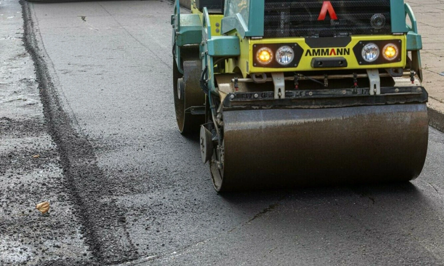 Juditos Grigelytės (VŽ) nuotr.