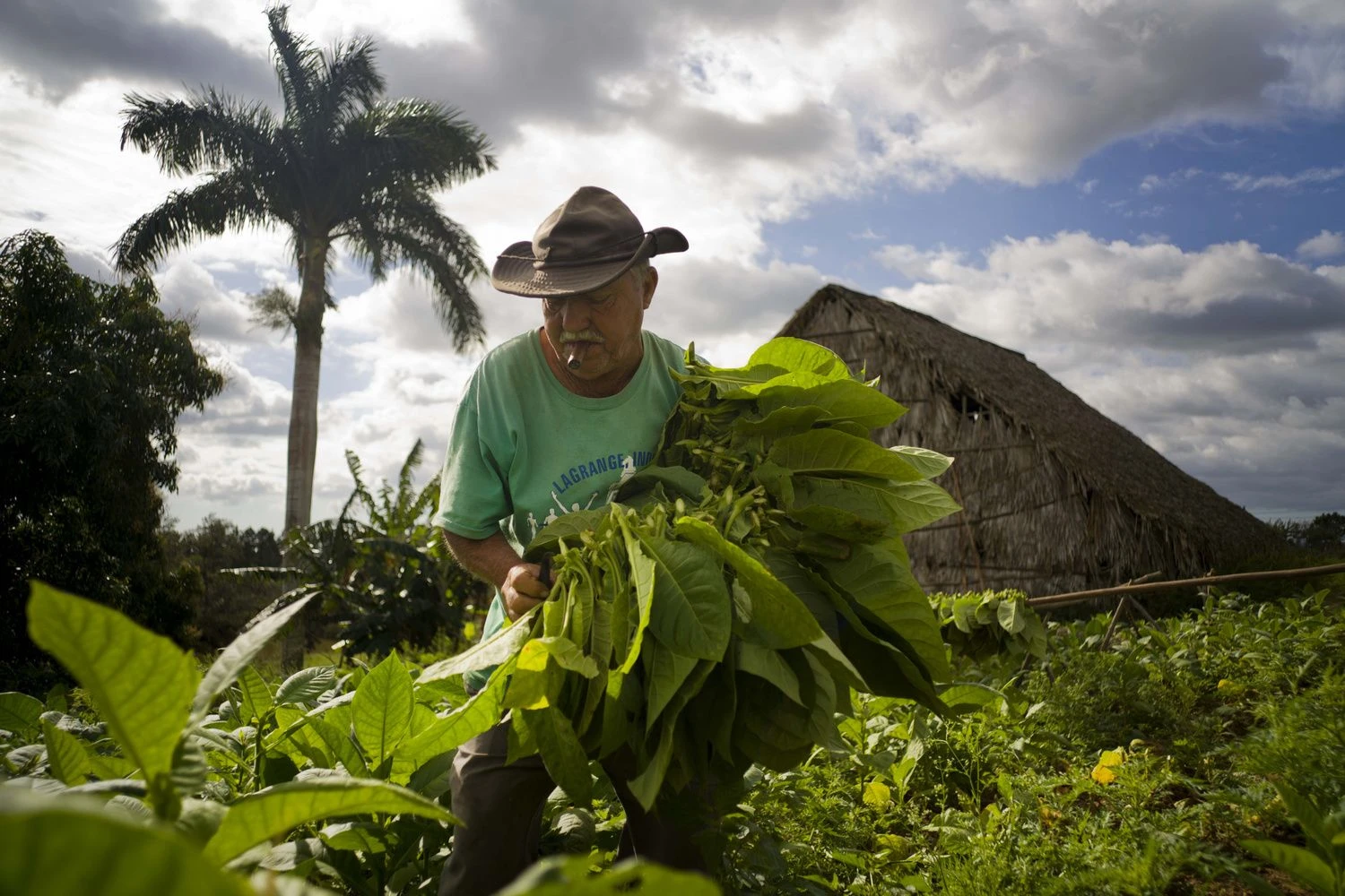 Ramon Espinosa („AP photo“ / „Scanpix“) nuotr.