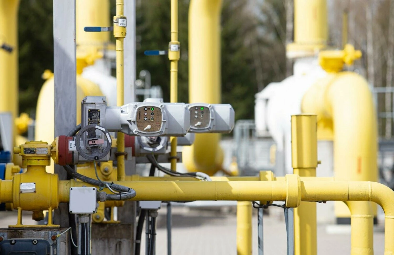 Juditos Grigelytės (VŽ) nuotr.