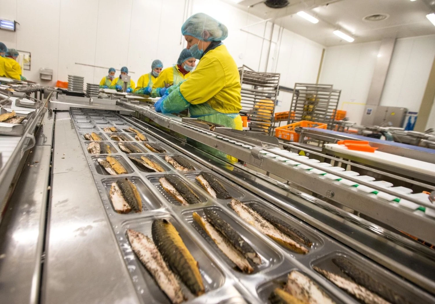 „Vičiūnų“ įmonių grupės žuvų perdirbimo ir žuvies produktų gamybos UAB „Baltic Food Partners“ fabrikas Plungėje. Juditos Grigelytės (VŽ) nuotr.