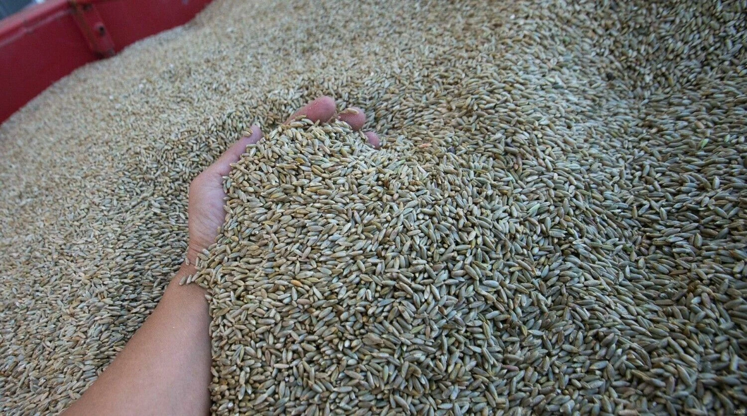 Juditos Grigelytės (VŽ) nuotr.