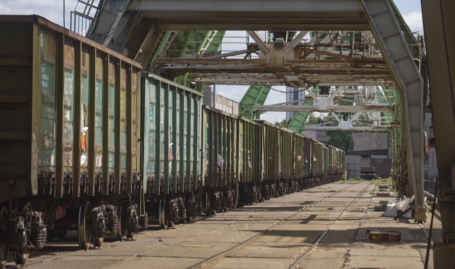 Vladimiro Ivanovo (VŽ) nuotr.