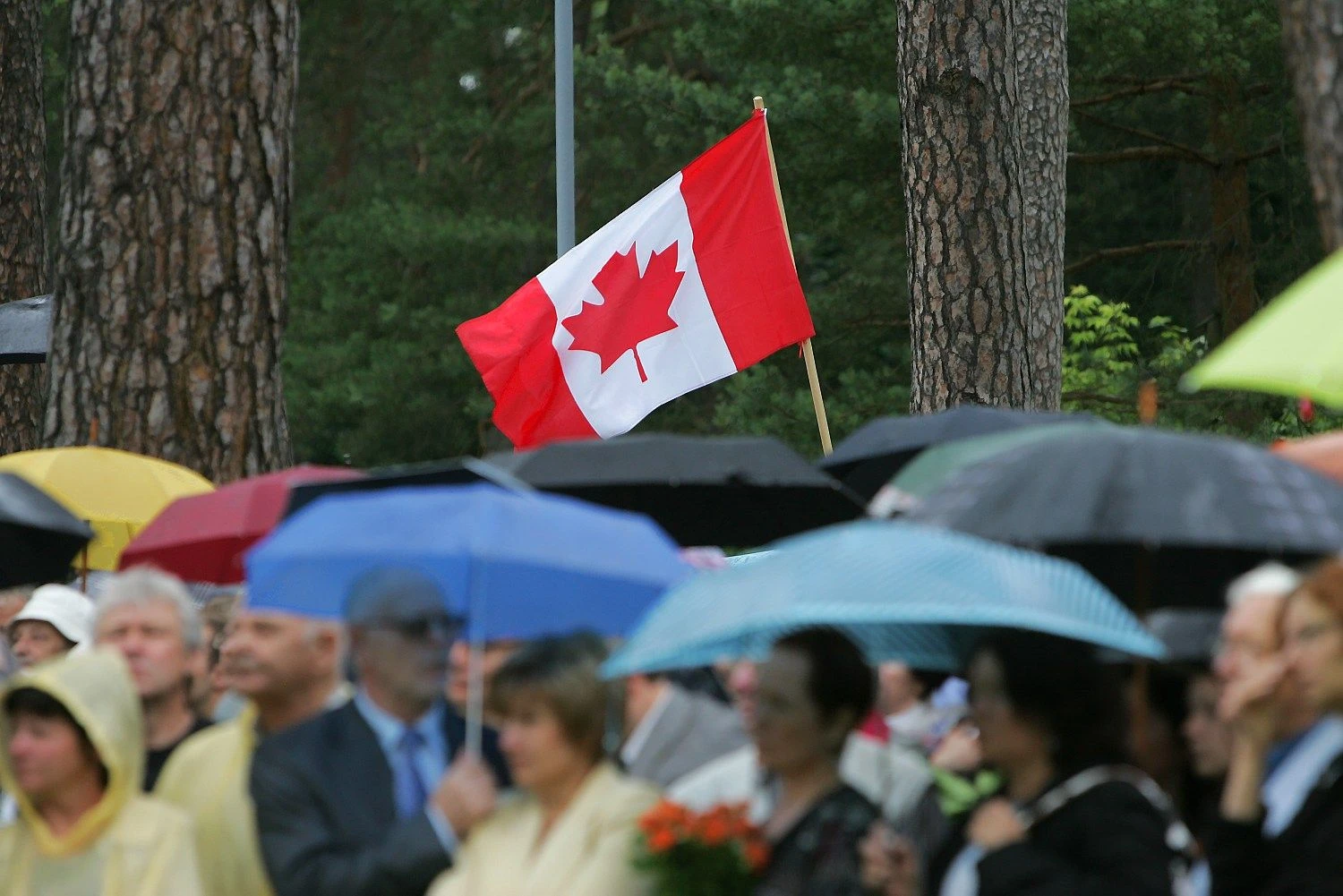 Vladimiro Ivanovo (VŽ) nuotr.
