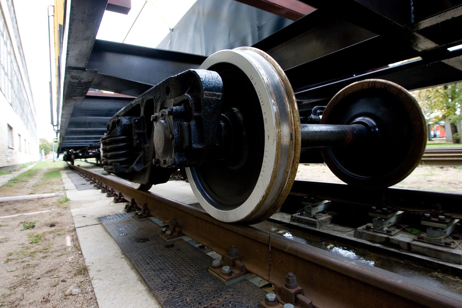 Juditos Grigelytės (VŽ) nuotr.