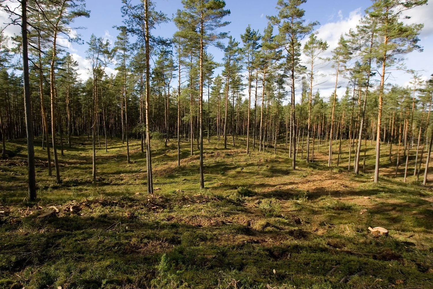 Juditos Grigelytės (VŽ) nuotr.