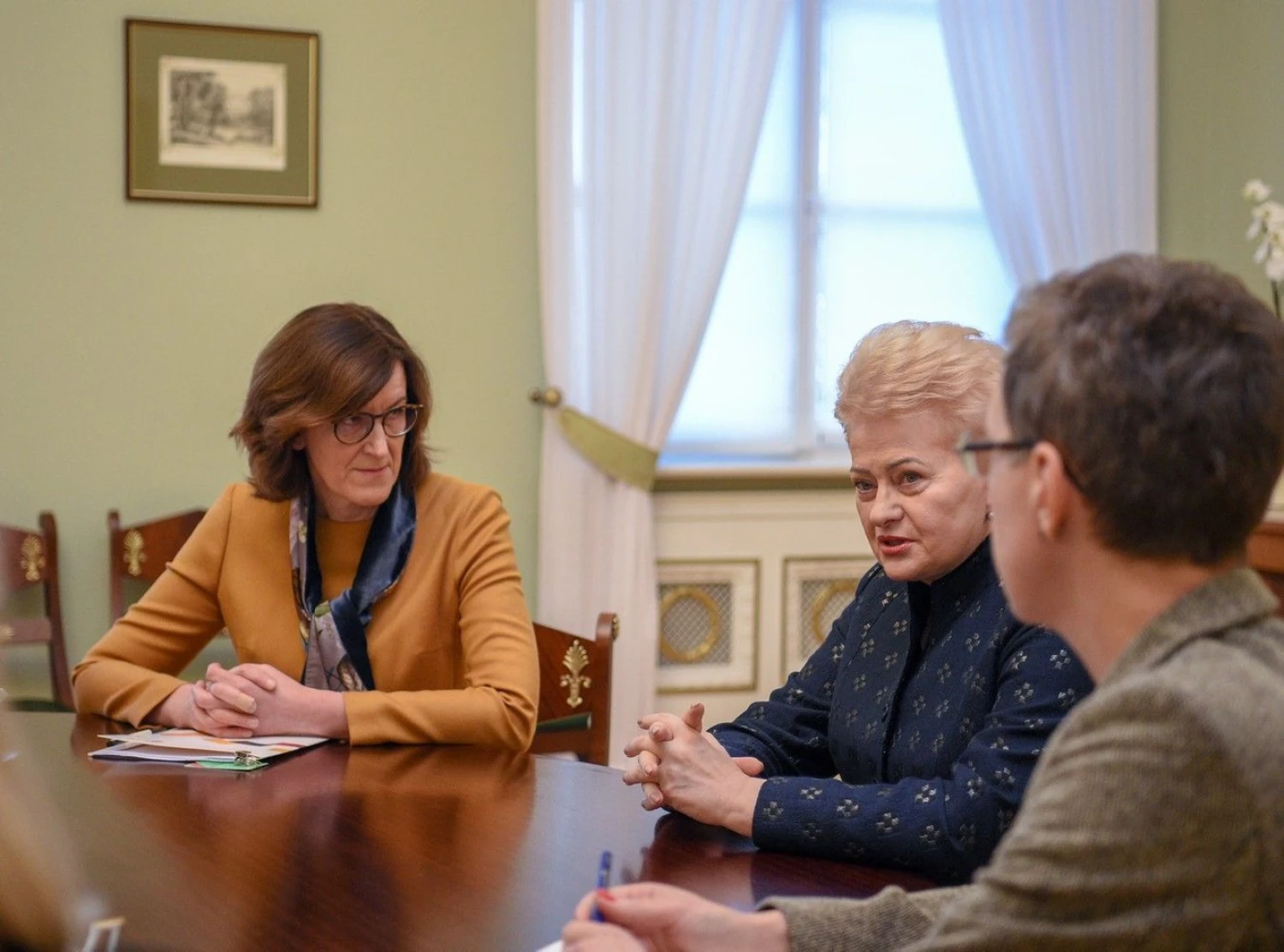 Prezidentė Dalia Grybauskaitė susitiko su Viešųjų pirkimų tarnybos vadove Diana Vilyte. Roberto Dačkaus (Prezidento kanceliarija) nuotr.