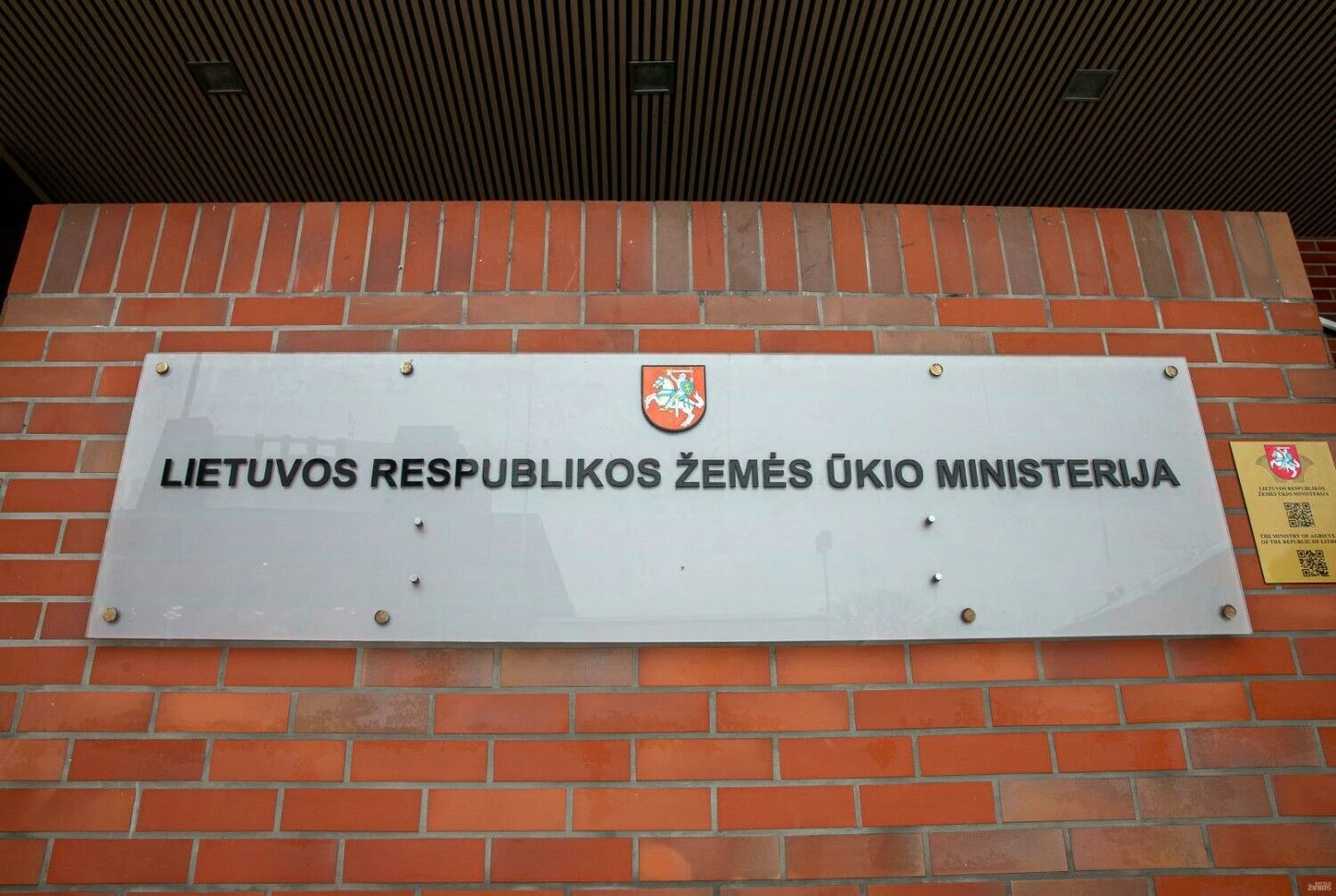 Juditos Grigelytės (VŽ) nuotr.