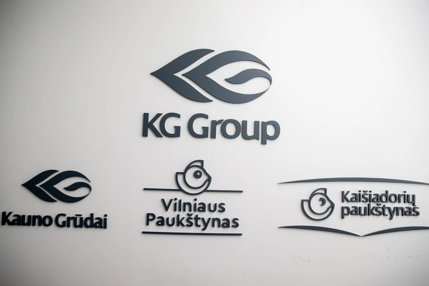 Vladimiro Ivanovo (VŽ) nuotr.