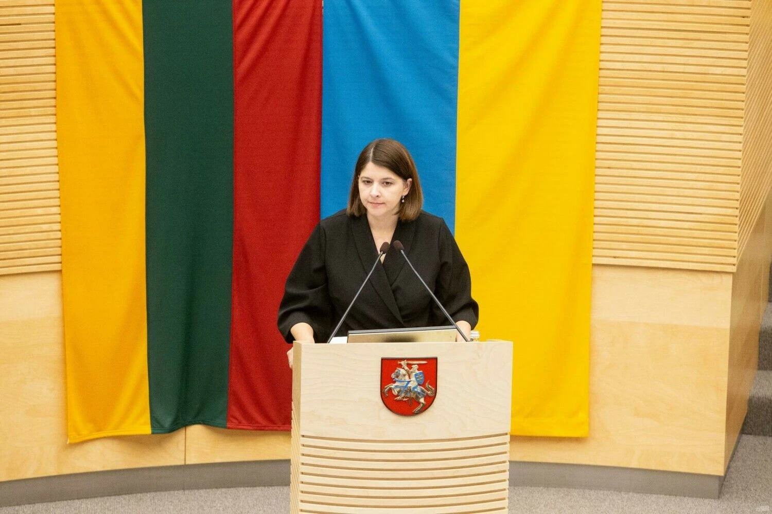 Seimo nariams kitų metų biudžeto projektą pristatė Gintarė Skaistė, finansų ministrė. Vladimiro Ivanovo (VŽ) nuotr.