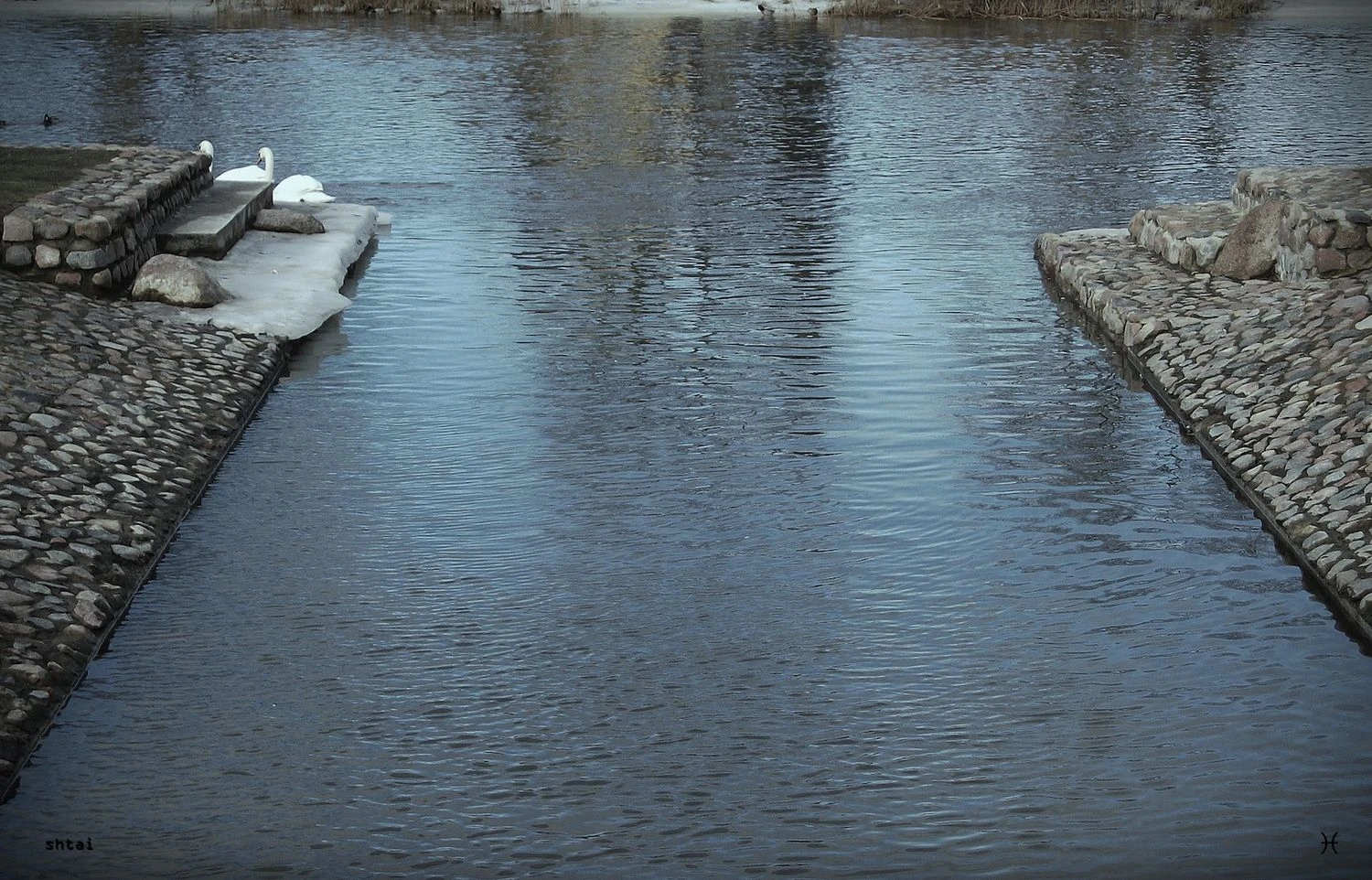 Nuotrauka iš kūrybinio Remigijaus Pačėsos „Marijampolės periodo“. R. Pačėsos nuotr.