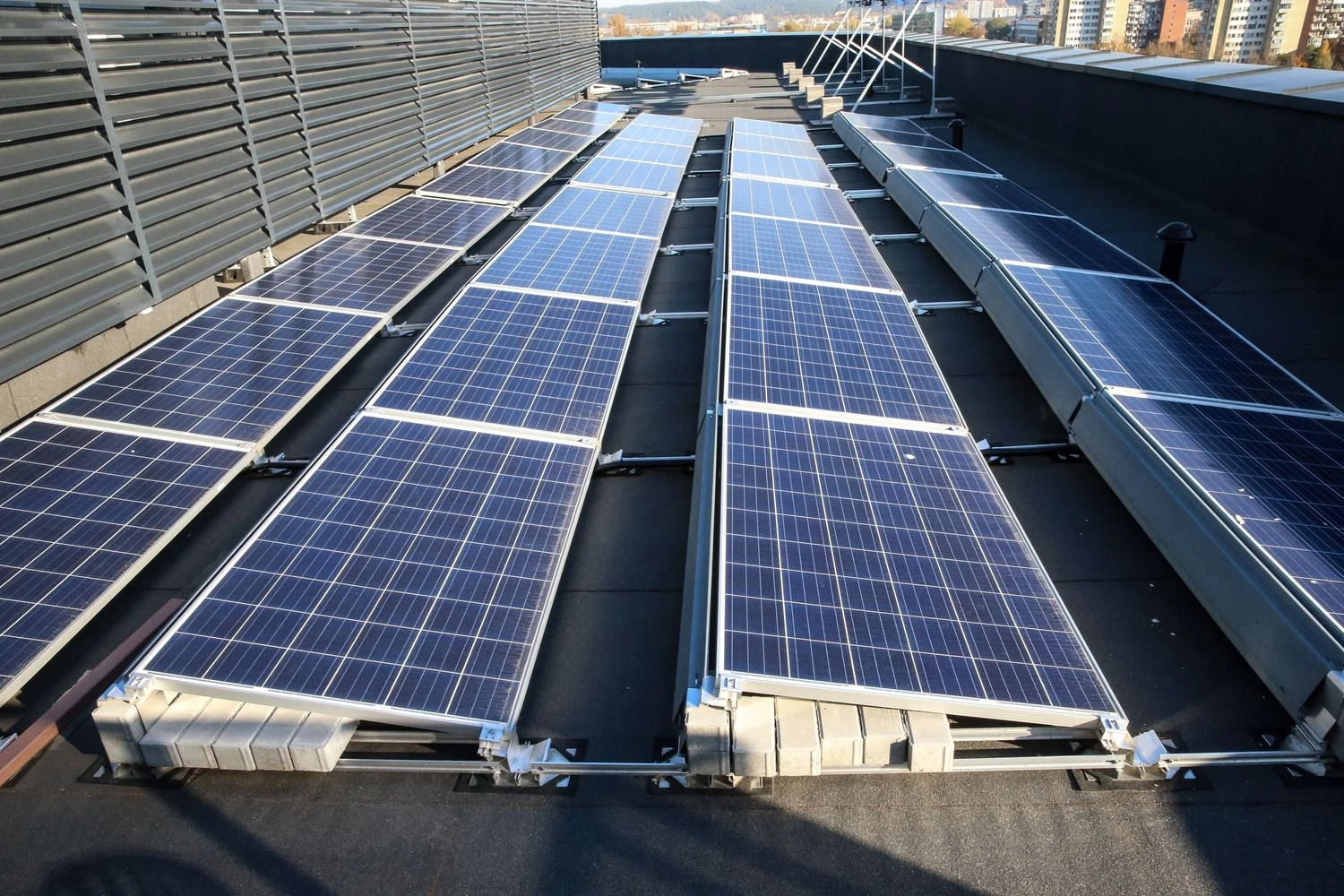 Vladimiro Ivanovo (VŽ) nuotr.