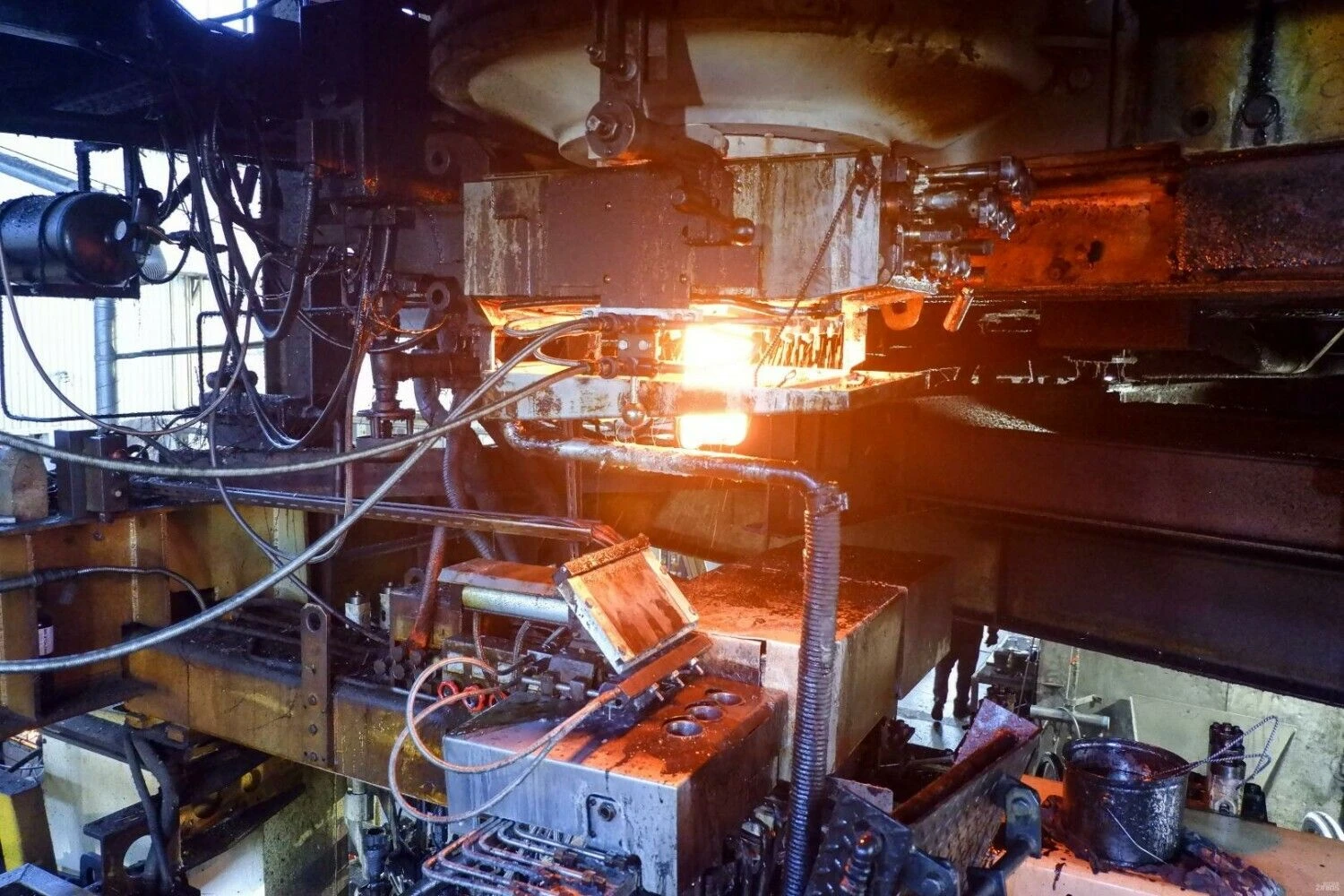 Tautvydo Lukaševičiaus (VŽ) nuotr.