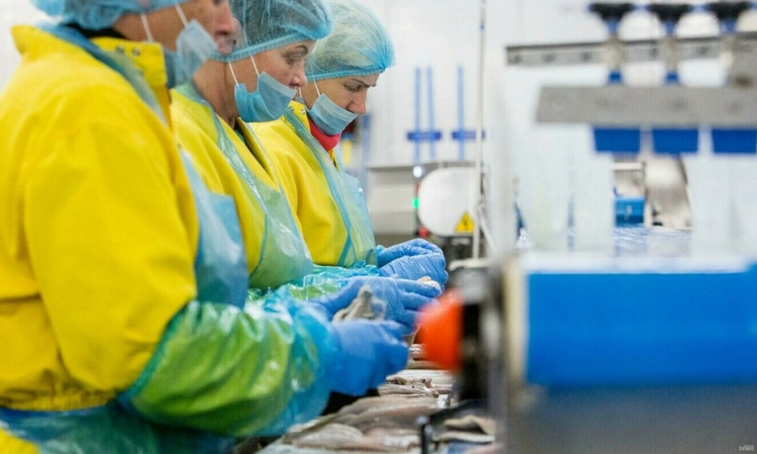 Juditos Grigelytės (VŽ) nuotr.