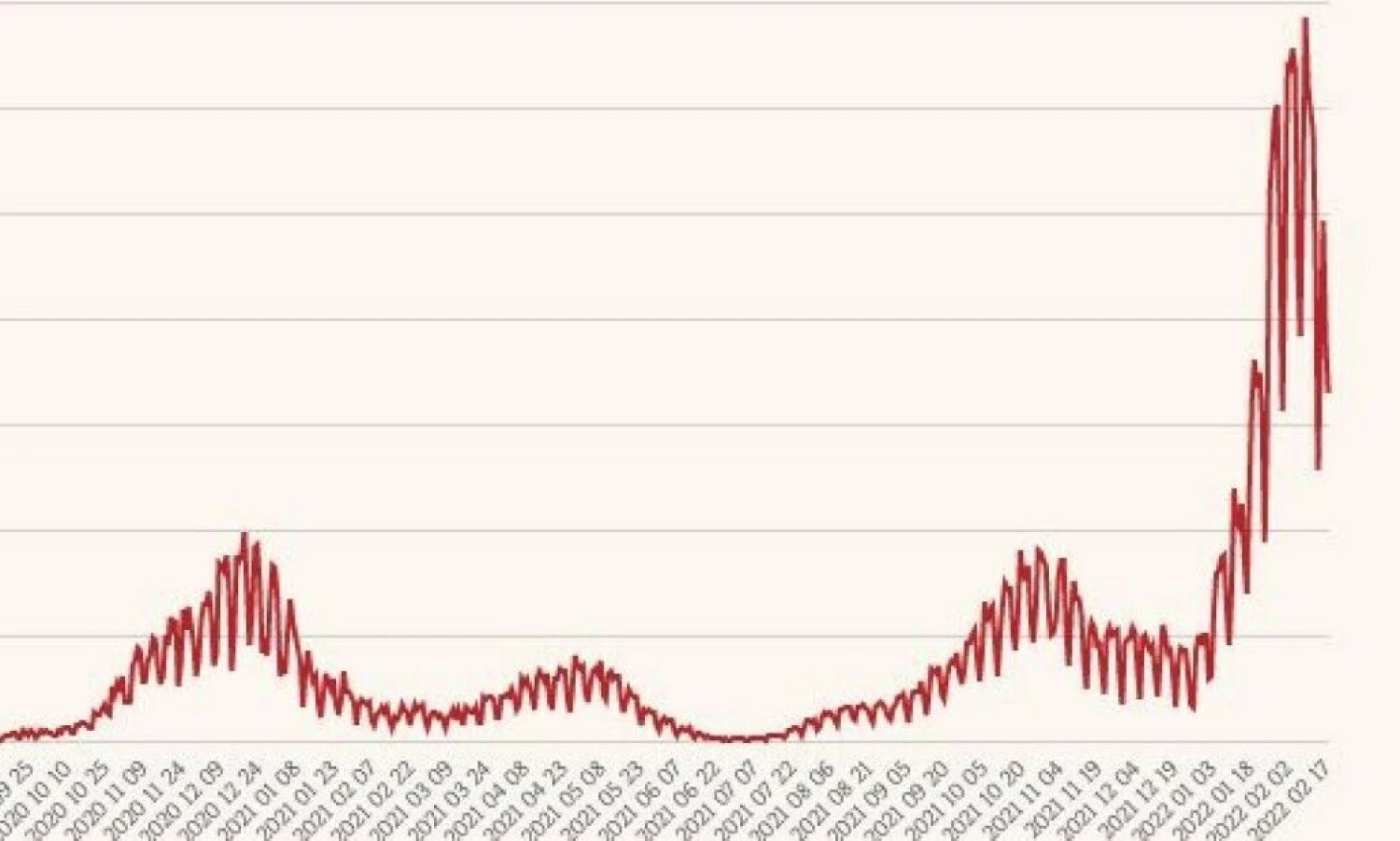 Naujų koronaviruso atvejų skaičius. VŽ infografikas.