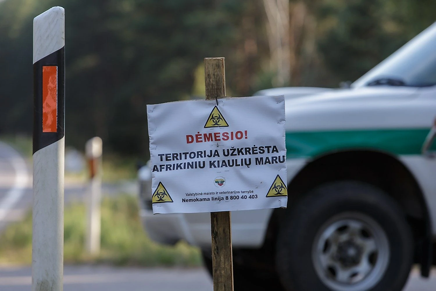 Vladimiro Ivanovo nuotr.