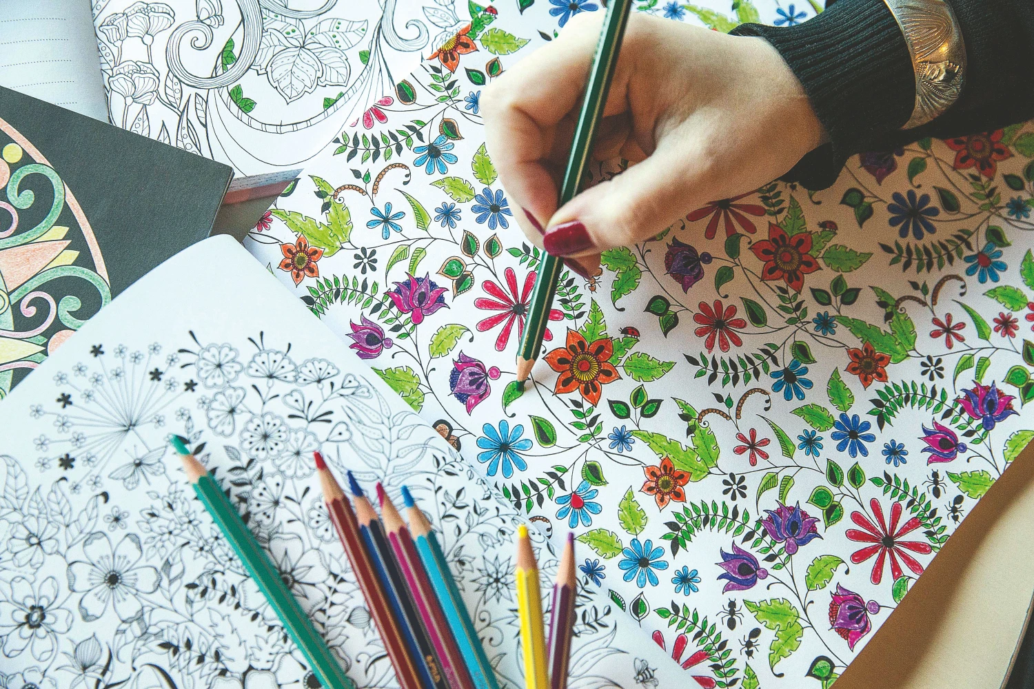 Prancūzijoje spalvinimo knygų suaugusiesiems parduota daugiau nei maisto ruošimo knygų. Juditos Grigelytės (VŽ) nuotr.