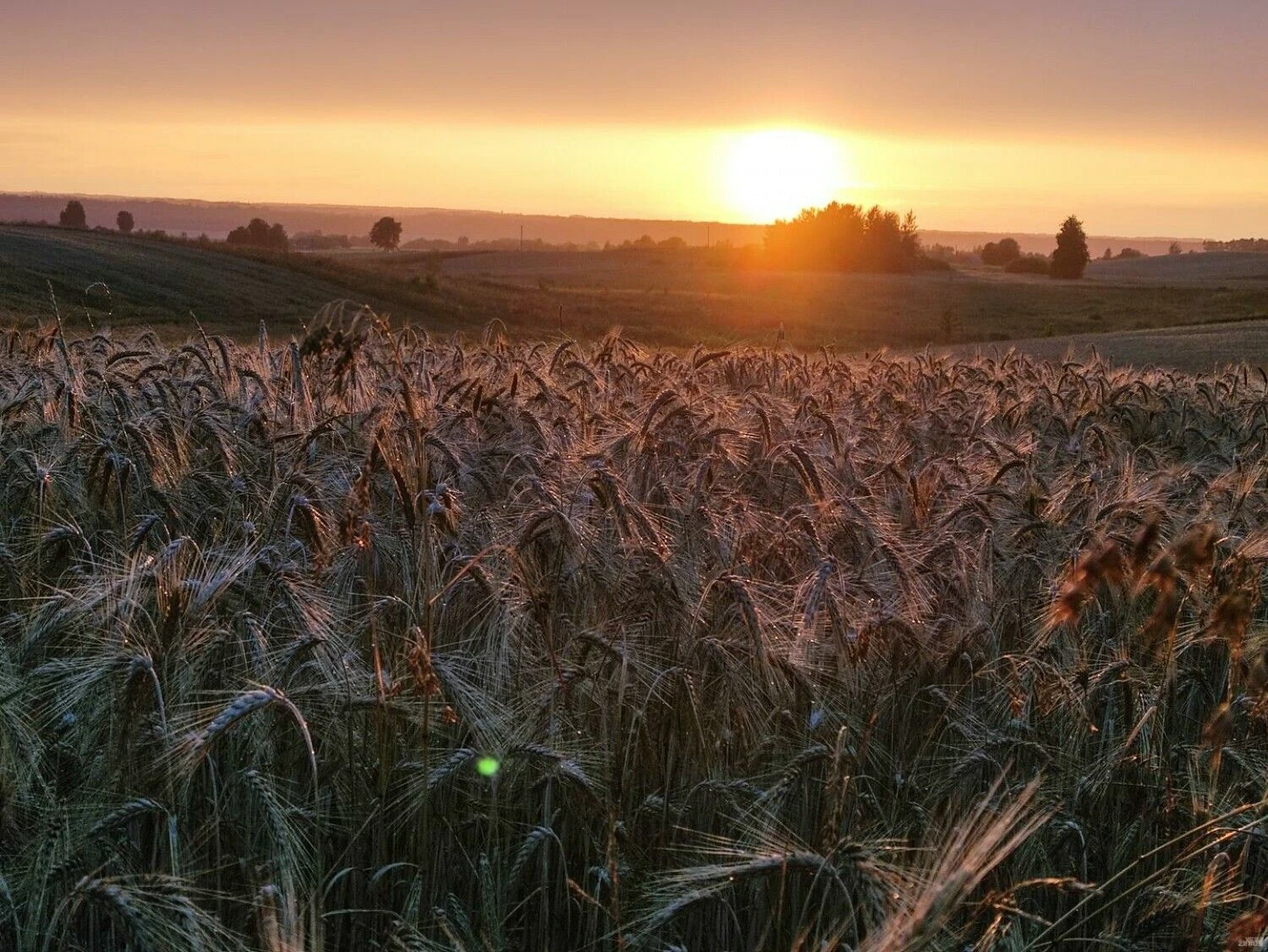 Vladimiro Ivanovo (VŽ) nuotr.