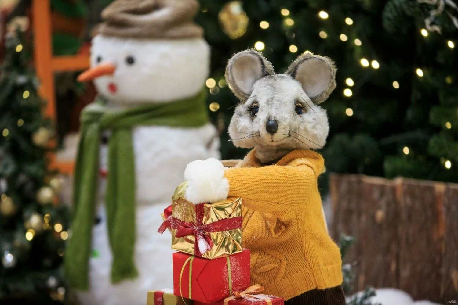 Vladimiro Ivanovo (VŽ) nuotr.